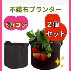 不織布プランター 5ガロン 【2個セット】 ベランダ栽培 不織布ポット 植木鉢