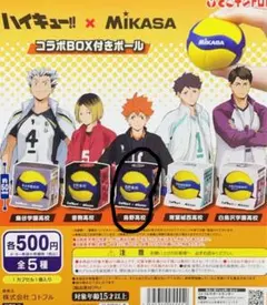 ハイキュー!! MIKASA コラボボール 白鳥沢学園高校 - メルカリ
