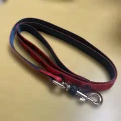 페티오 메리 스타 레드 (중형견용)