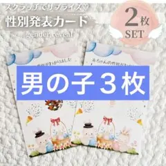 Item thumbnail for item c2e4d0d3-6e01-4113-a3e6-39a863d7a9c8