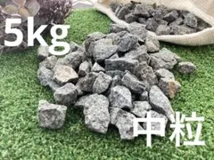 2026年最新】遠野の石の人気アイテム - メルカリ