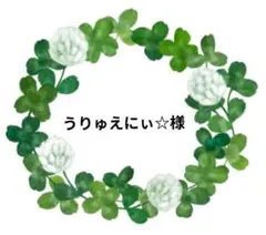 うりゅえにぃ☆様 リクエスト 2点 まとめ商品