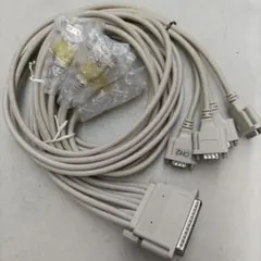 Item thumbnail for item e108e393-d29a-4589-938b-f9282c1a8f28