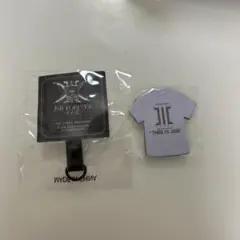 三代目JSB スタジアム カプセルガチャ フォンタブ 、アルミマグネット