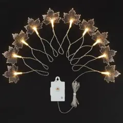 Item thumbnail for item 16e94354-d7b4-488f-8059-d0b9a9d74124