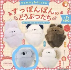 すっぽんぽんのどうぶつたち こあら