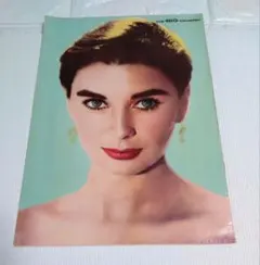 Item thumbnail for item bb368bdf-dc13-4ca5-9313-45a88ac82cb3