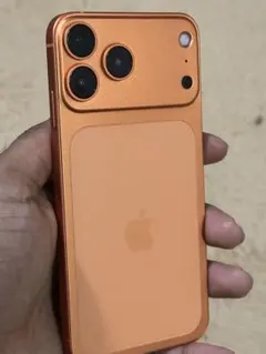 某17Proの本体へ交換済 512GB版！ 魔改造iPhone XsMax - メルカリ
