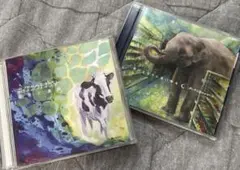 ポッグカウチナゲット CD