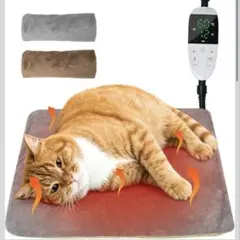 Item thumbnail for item 27586185-04d3-4d91-9ead-9dfec7a9bca1