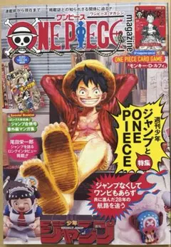 ONE PIECE magazine ワンピースマガジン 20号　vol.20