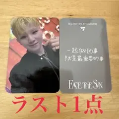 SEVENTEEN ウジ　トレカ