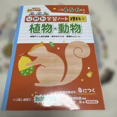 Item thumbnail for item f046895e-2bd9-4506-bfe4-3a3d90fae45e