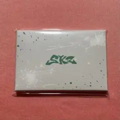 StrayKids SKZ Hollow フォトカードセット