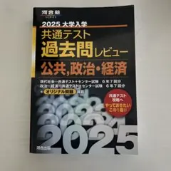 2025 大学入学共通テスト過去問レビュー 公共・政治経済
