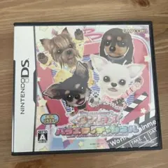 ワンタメ バラエティチャンネル