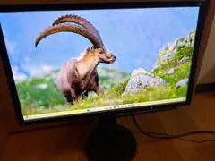 送料込み！EIZO EV2336W 23インチ液晶モニターのサムネイル