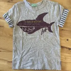 ハッカ kids シャークプリント Tシャツ 100cm新品！後必見 ネップ素材のサムネイル