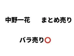 中野一花 まとめ売り バラ売り⭕️