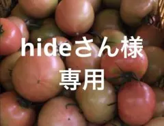 hideさん様　専用のサムネイル