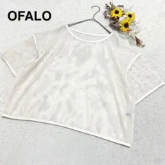 【OFALO しまむら】半袖 メッシュトップス カットソー アイボリー系 重ね着