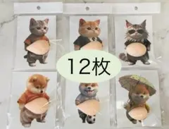 Item thumbnail for item 5b930eb8-a16a-40ac-b619-e49df576c534