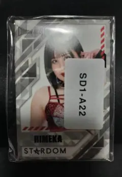 スターダム STARDOM 2023年 ひめか引退興行 VIP特典 限定ポスター スターダム STARDOM 2023年 ひめか引退興行 VIP特典 限定