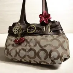 COACH Poppy Op Art SignatureToteBag y2k