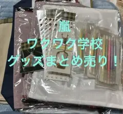 嵐ワクワク学校まとめ売り！