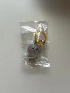 TRUZ TREASURE めじるしアクセサリー YOCHI