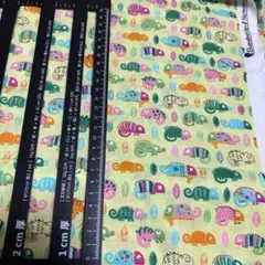 カメレオン　イエロー　スケア生地　1m