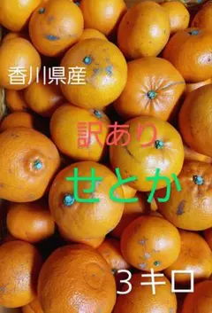 産地直送❗訳ありせとか 3キロ 香川県産のサムネイル