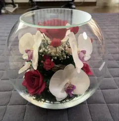 2026年最新】レンデフロールの人気アイテム - メルカリ