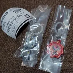 スーパー戦隊 めじるしアクセサリー　2種セット