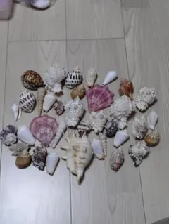 Item thumbnail for item a8ee5b91-0817-469b-9ab8-6d300d79067e