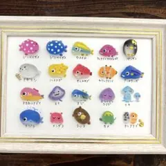 シーグラスアート☆No.399 図鑑 海の生き物 ギフト プレゼント