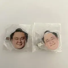 Item thumbnail for item 4450fe33-d840-4452-8990-e861f84cee1c