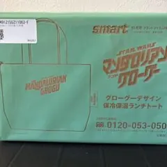smart 2026年10月号 マンダロリアン グローグー ランチトート 付録
