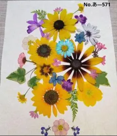 押し花素材　✳️ミニヒマワリ 等　／ 小花でアレンジ ⑲在庫整理品