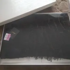 Item thumbnail for item 217db69e-1bb3-4854-a8fd-c406e6cf7532