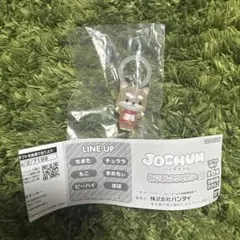 【カプセルトイ】ジェオチャム めじるしアクセサリー2 まめちぃ《新品未開封》