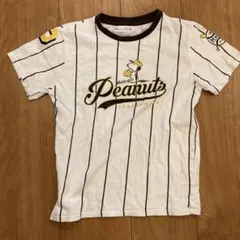 Item thumbnail for item 9eed8426-1a92-49dd-86c7-327258a772a9