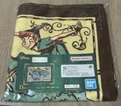 一番くじ　Disney D賞　ピーターパンビジュアルタオル