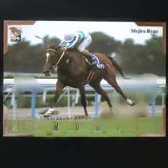 メジロライアン、99下 メモリアル