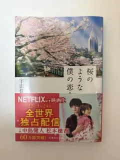 「桜のような僕の恋人」宇山佳佑 集英社文庫
