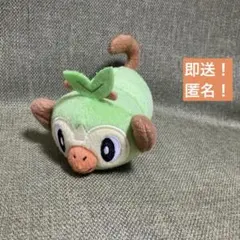 2025年最新】ポケモンてにのるころりんフレンズぬいぐるみの人気