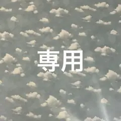 toncolitho(再開予定) 様　専用ページ