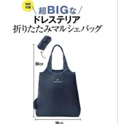 DRESSTERIOR×LEE 超BIGな折りたたみバッグのサムネイル