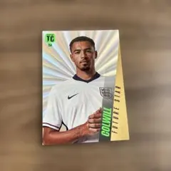 Levi Colwill パニーニ サッカーカード フューチャースター