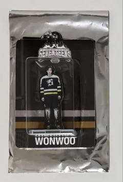 SEVENTEEN セブチ HOME 2025 アクリルキーリング ウォヌ